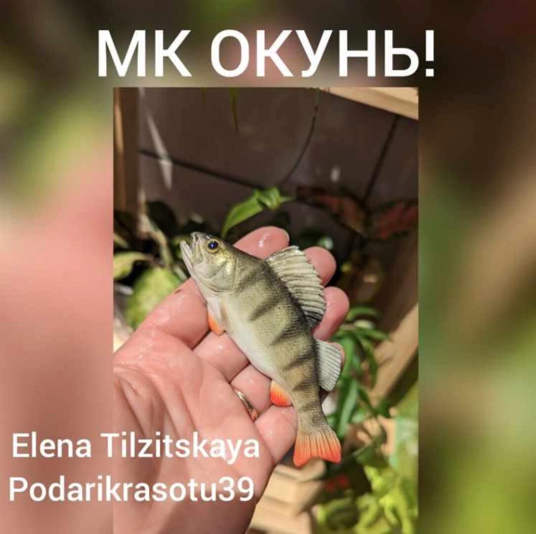 Окунь (Елена Тильзитская) @podarikrasotu39