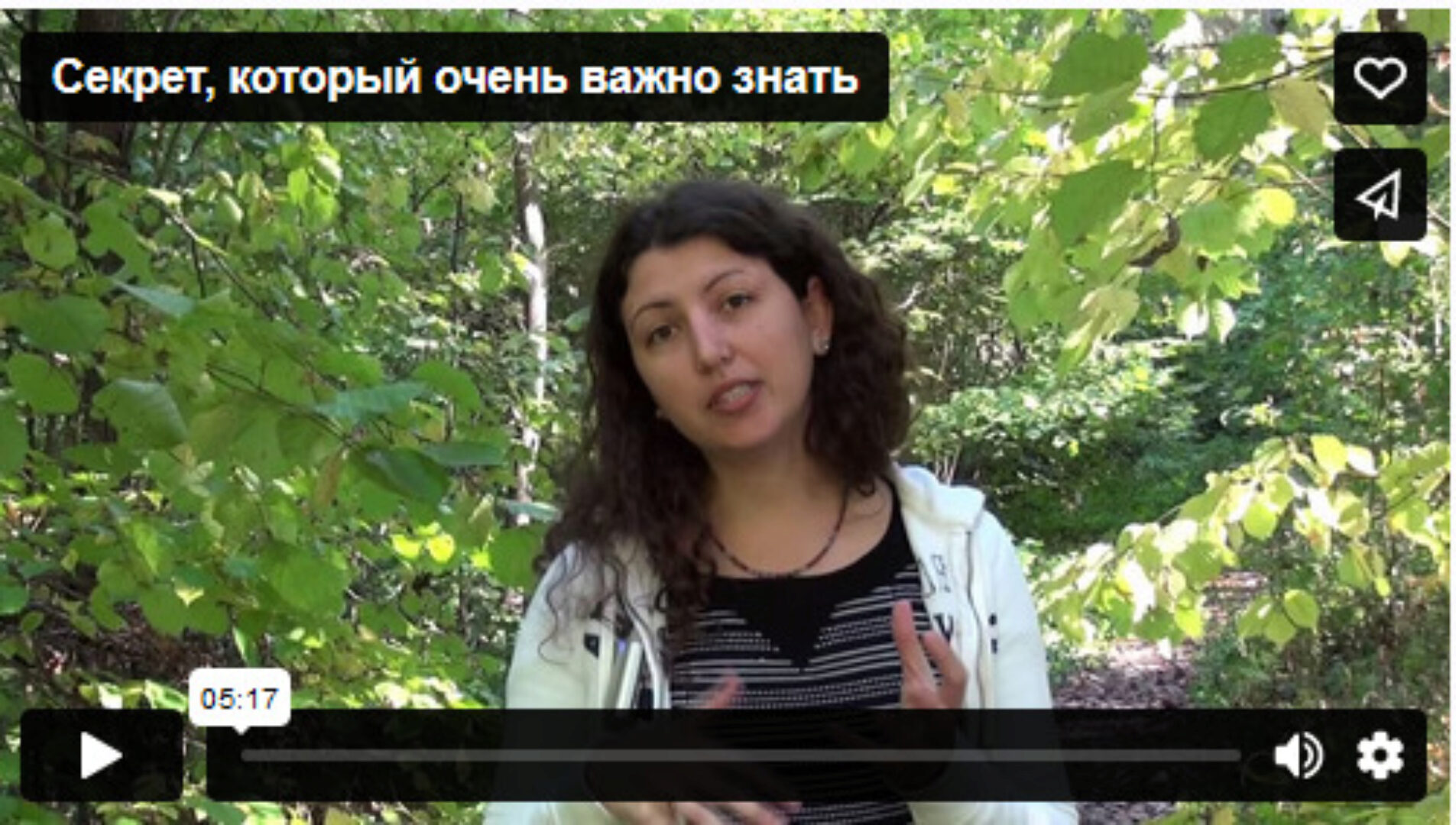 Сборник медитаций Четыре стихии (Анна Гак)