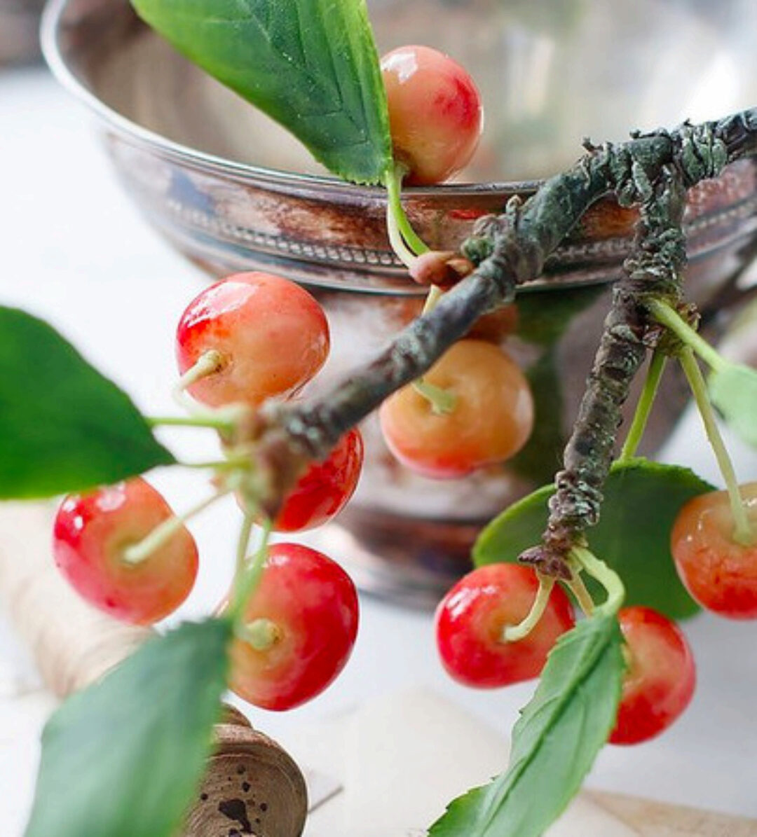 Черешня (Кристина Смородина)