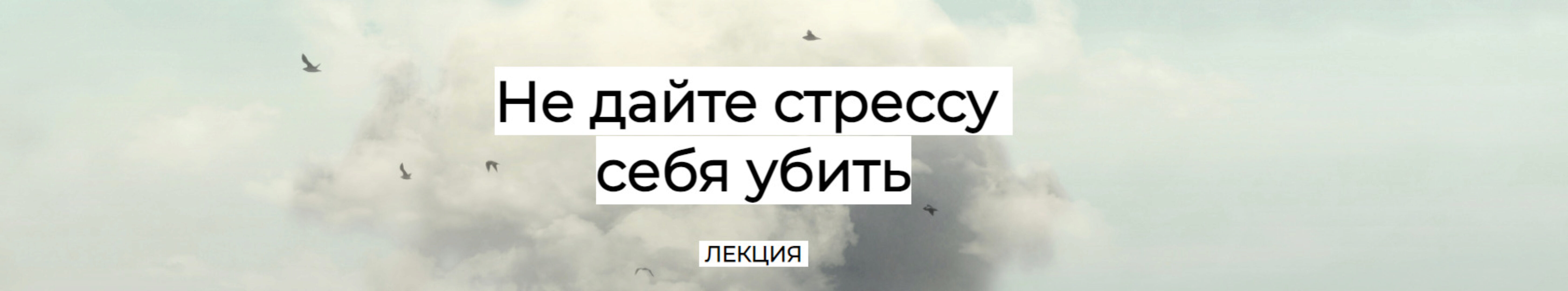[humberto 2.0] Не дайте стрессу себя убить (Валерий Подрубаев)
