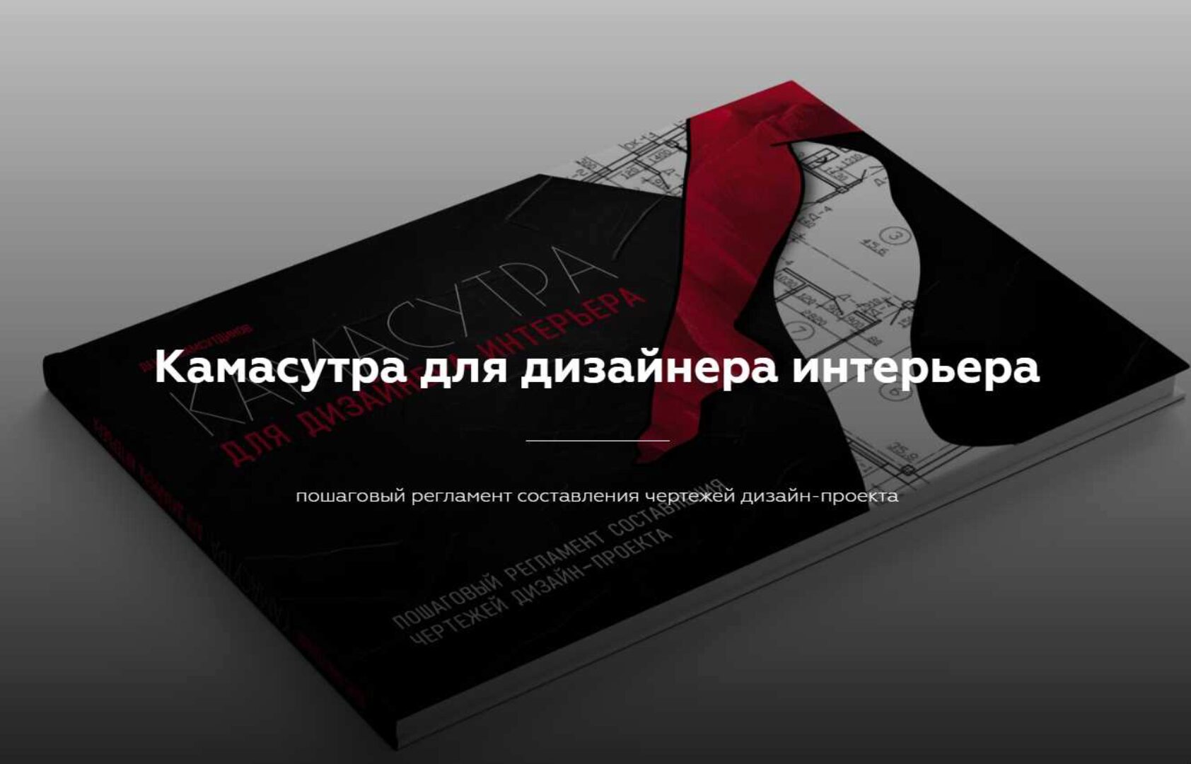 Камасутра для дизайнера интерьера (Денис Шамсутдинов)