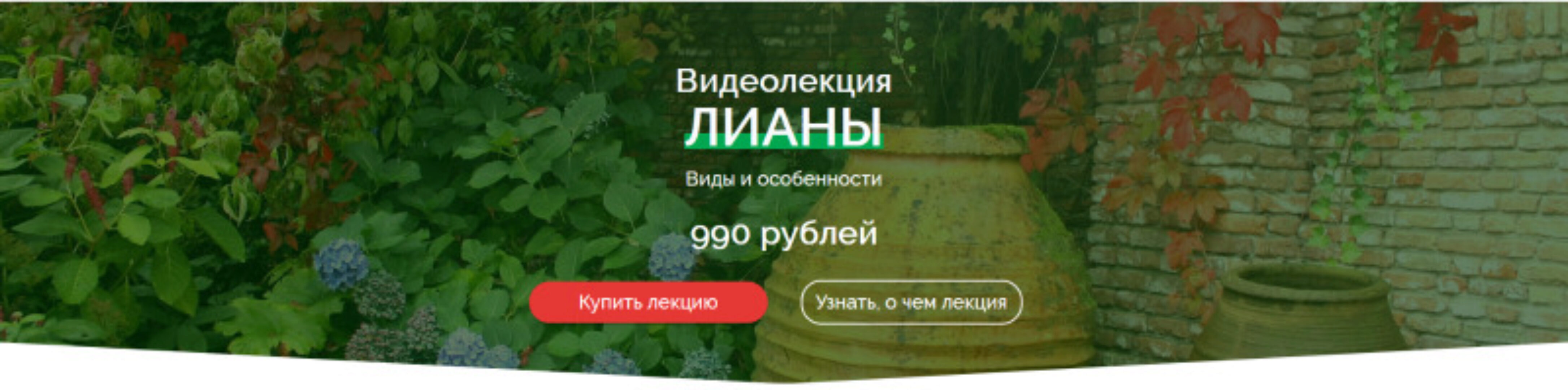 Лианы. Виды и особенности использования (Наталья Мягкова)