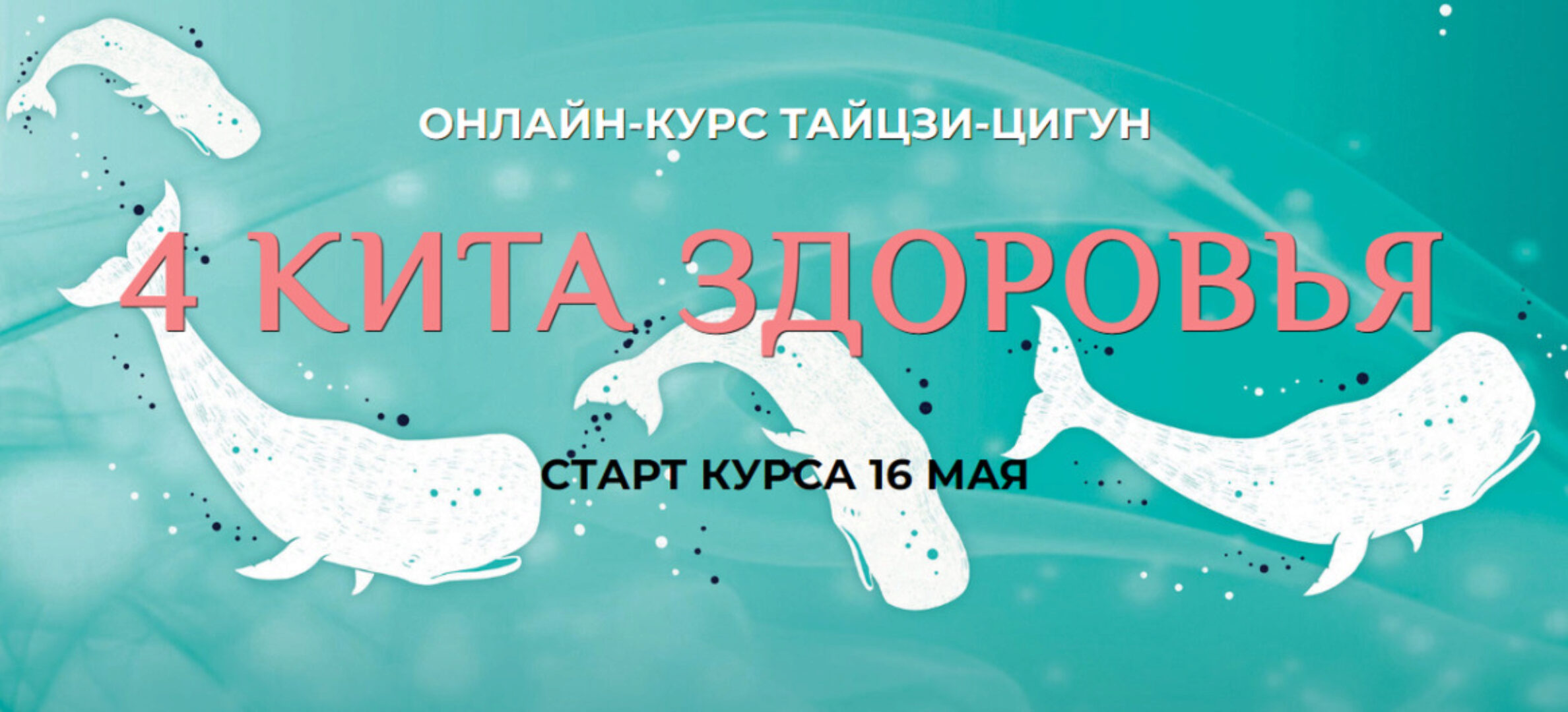 4 кита здоровья - Тайцзи-Цигун (Ли Минь)