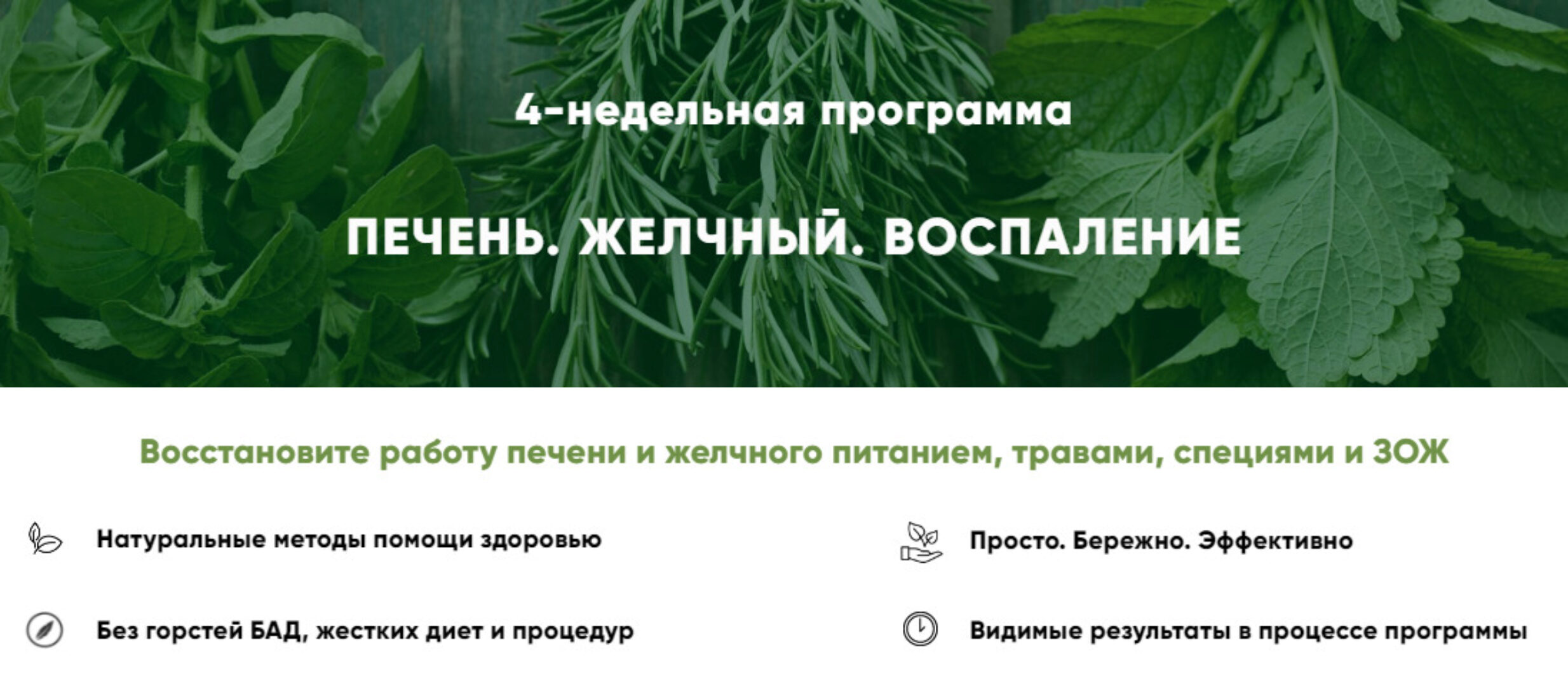 [Holistica health academy] Печень. Желчный. Воспаление. Тариф Базовый 2022 (Ирина Шиманская)