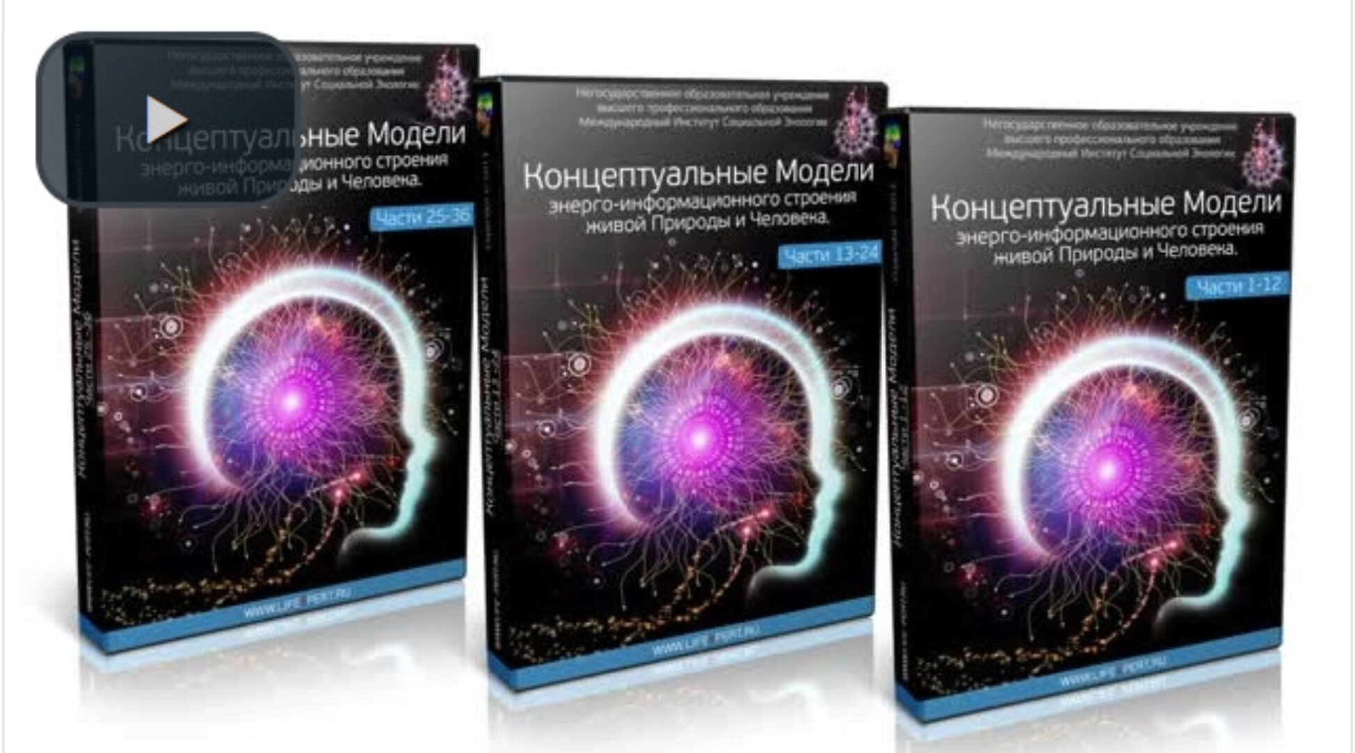 Кураторы. Информатории (Вячеслав Губанов)