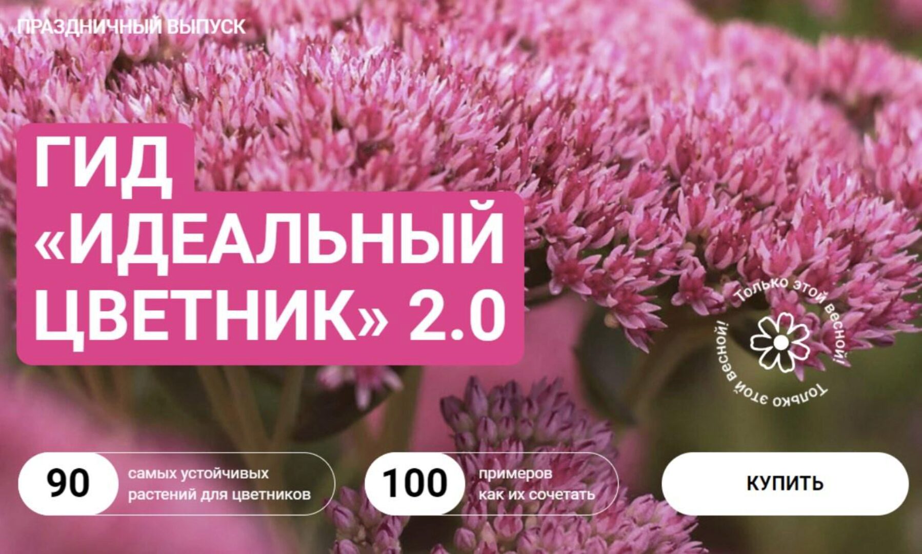 Идеальный цветник 2.0. Тариф Самостоятельный (Марина Берестова)