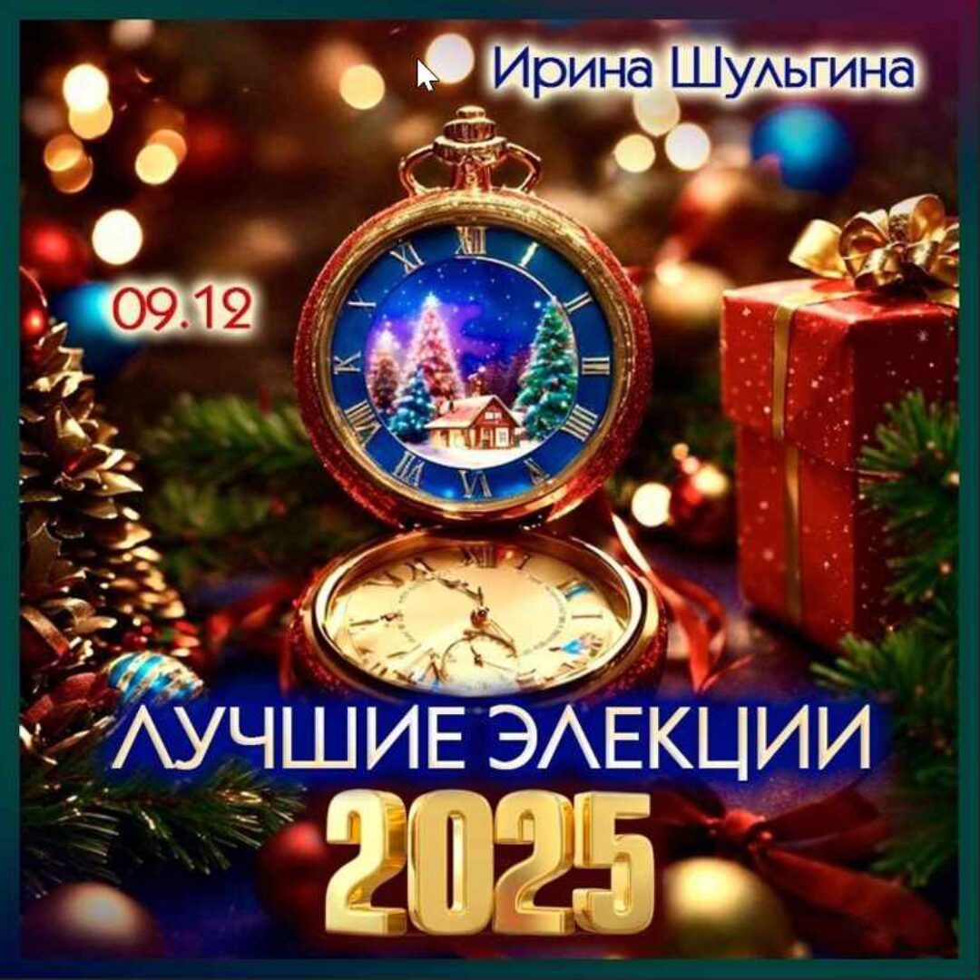 Лучшие элекции 2025 (Ирина Шульгина)