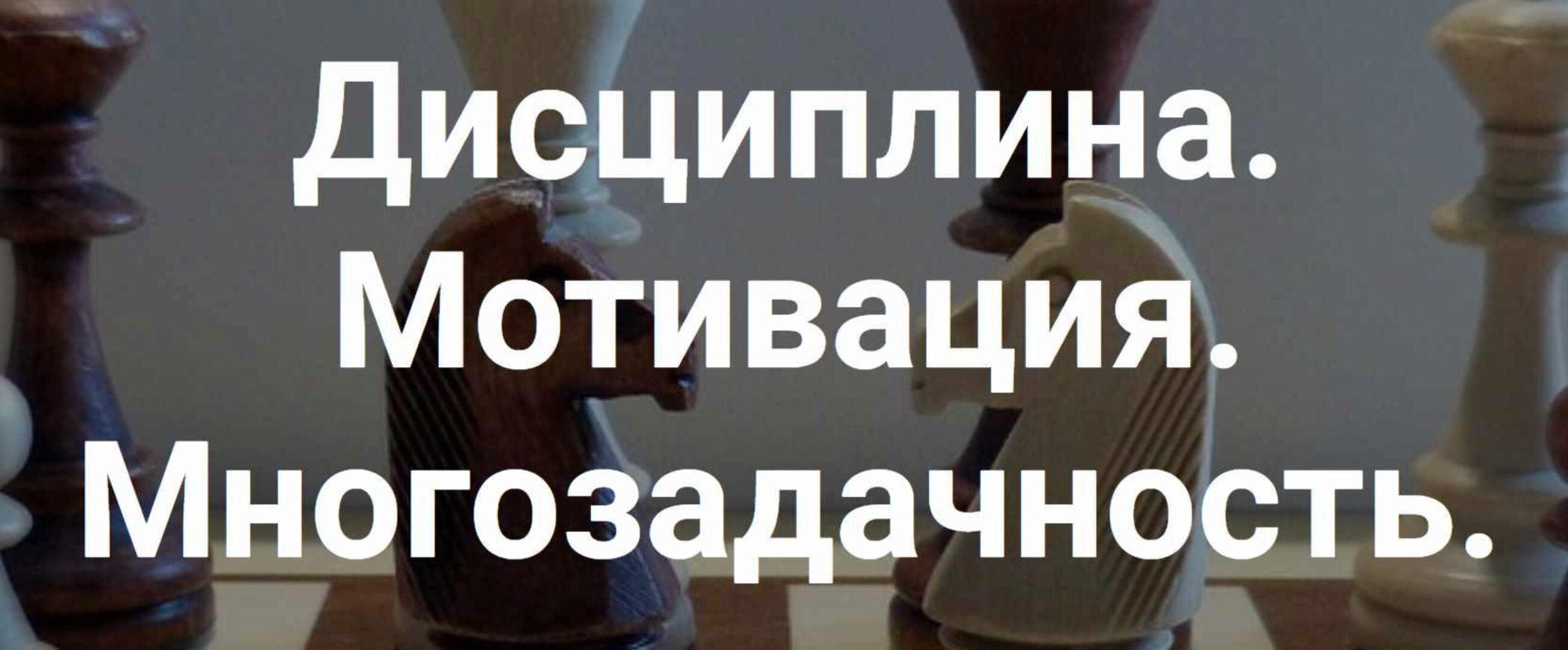 Дисциплина. Мотивация. Многозадачность (Алексей Красиков)