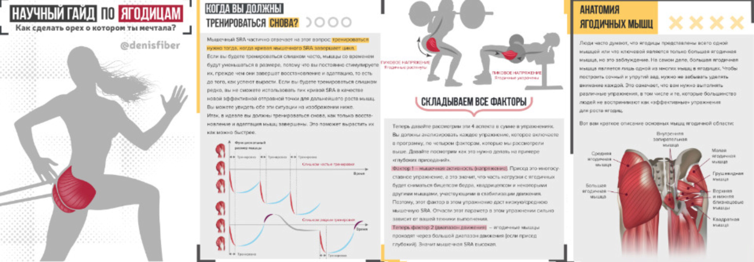 Научный гайд по ягодицам (Денис Юровских)