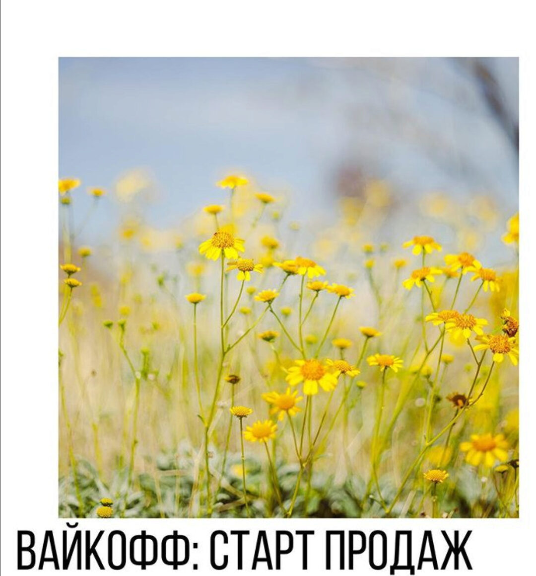 [Vesperfin] Курс по Вайкоффу и побарному анализу (Арина Веспер)