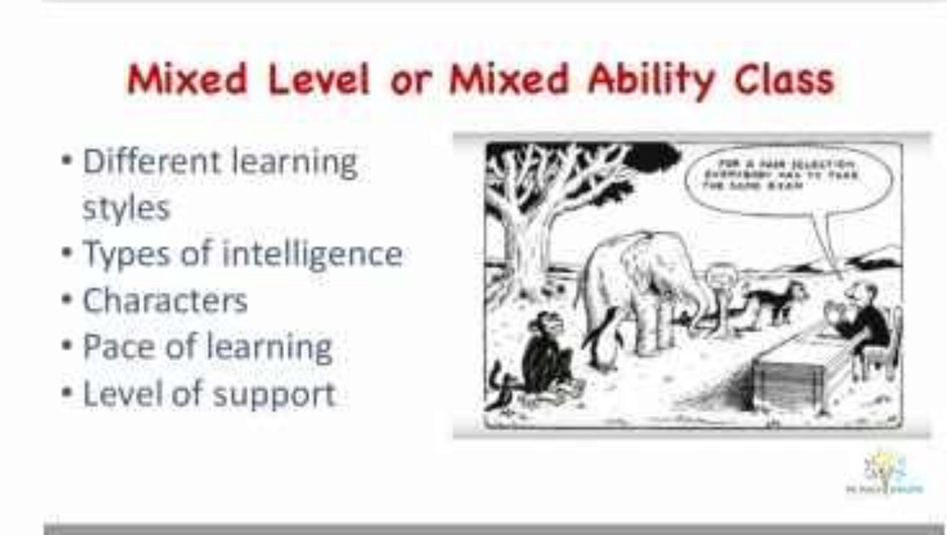 How to teach mixed level groups (Ирина Ботнарь)