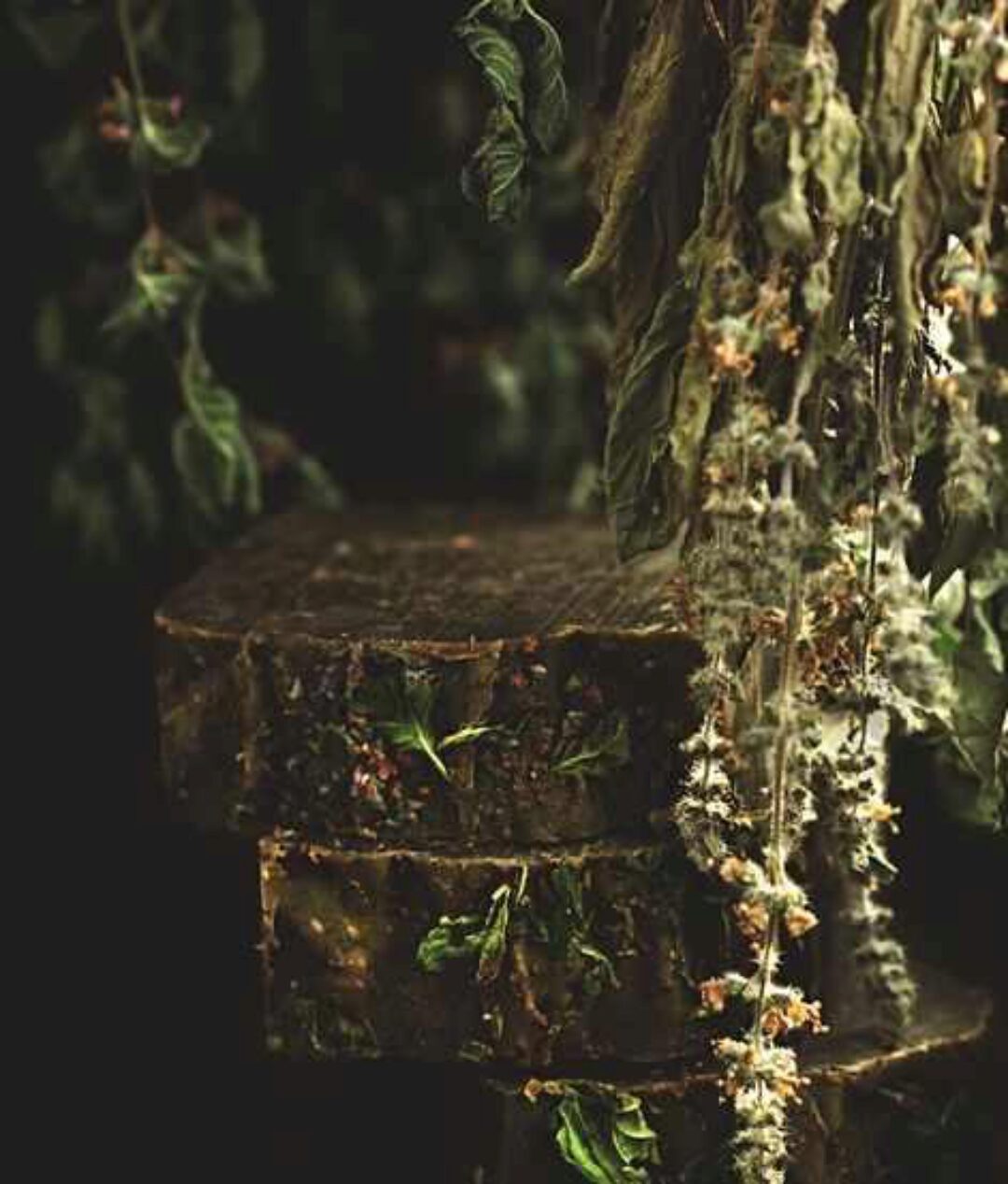 Твёрдое травяное мыло с нуля холодным способом (Мария Разнер)