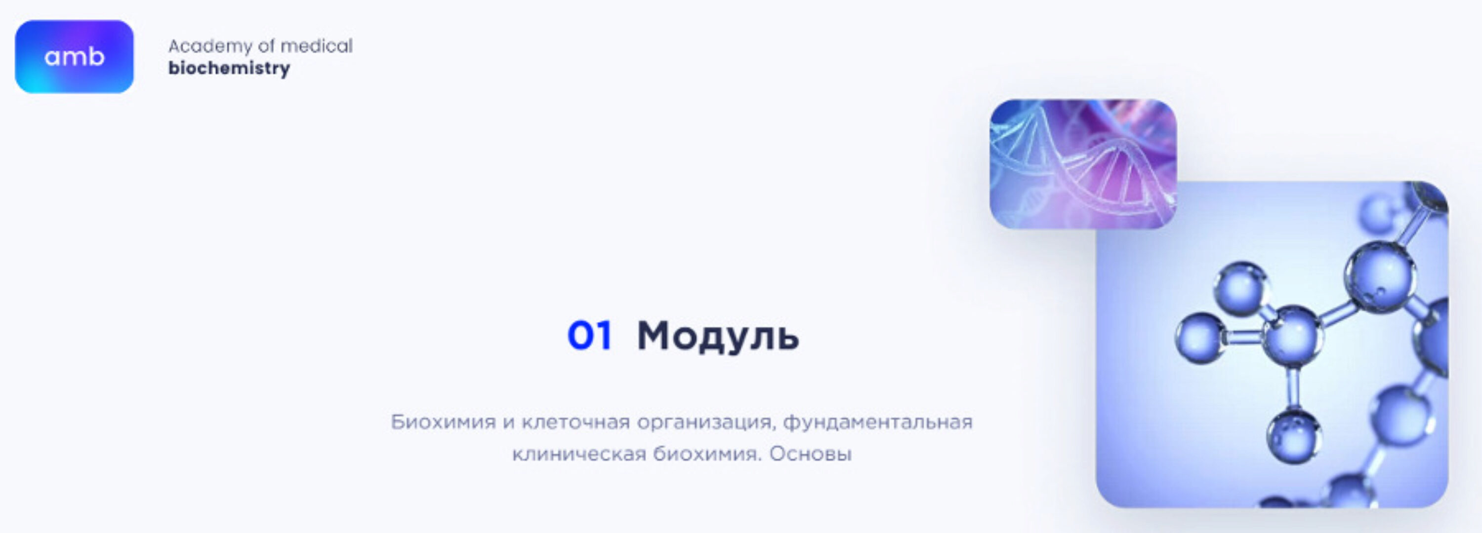 [amb] Основы биохимии. 1 модуль (Елизавета Радевич)