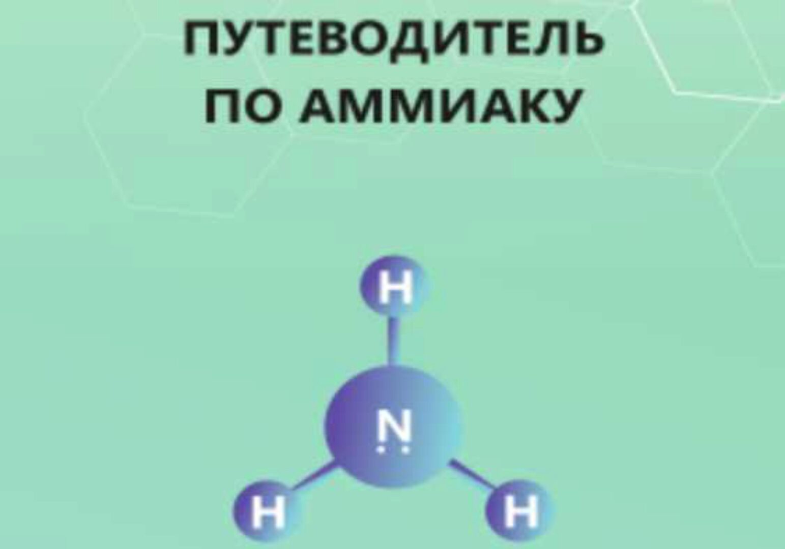 Путеводитель по аммиаку (Кристина Максимова)