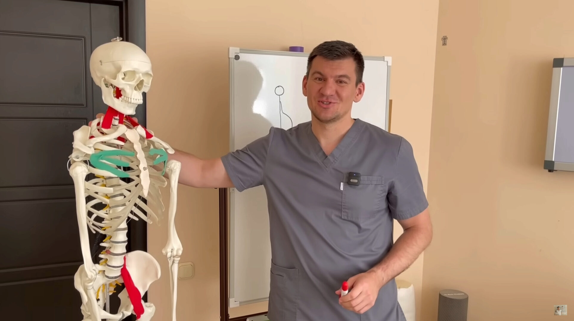 Восстановление дыхания. Увеличение объема легких. Диафрагма. Подвижность ребер (Антон Алексеев)