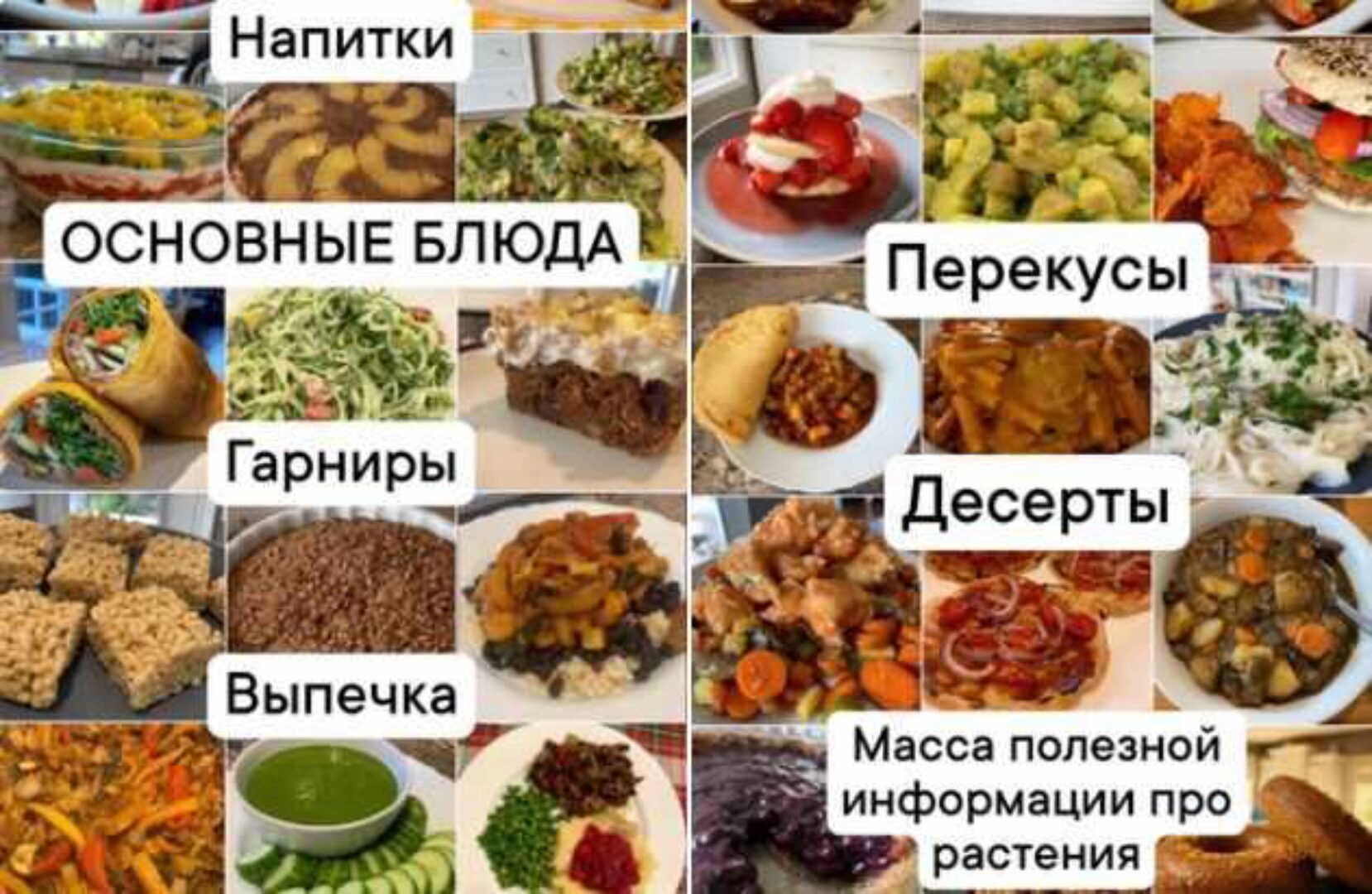 [Medical Medium] Рецепты для исцеления по методике Медикал Медиум