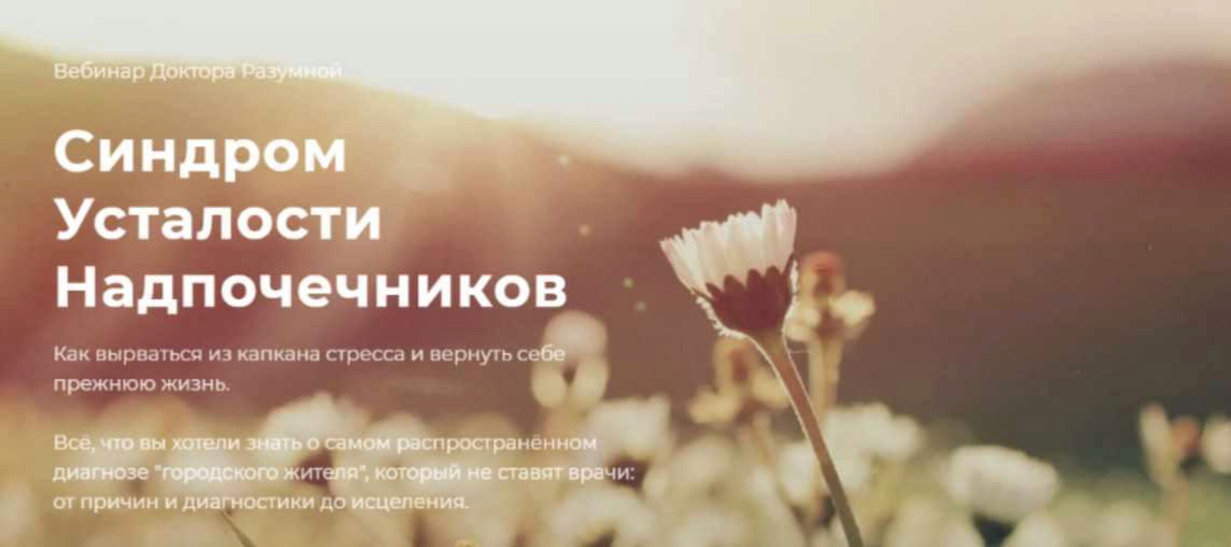 Синдром усталости надпочечников (Флорида Разумная)