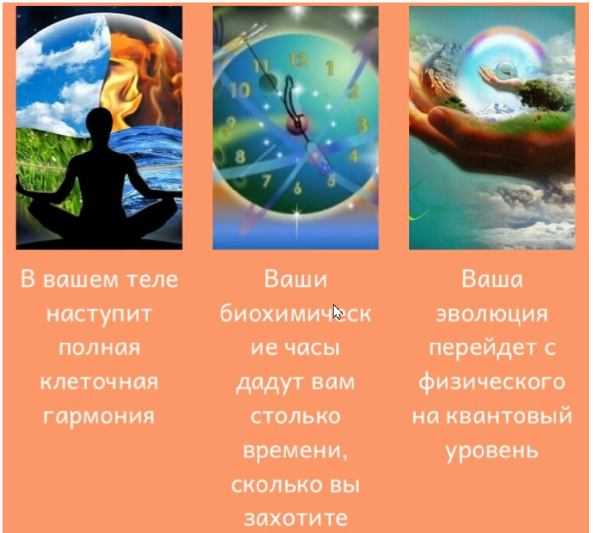 Эволюция акупунктуры (Юджиния Квант)