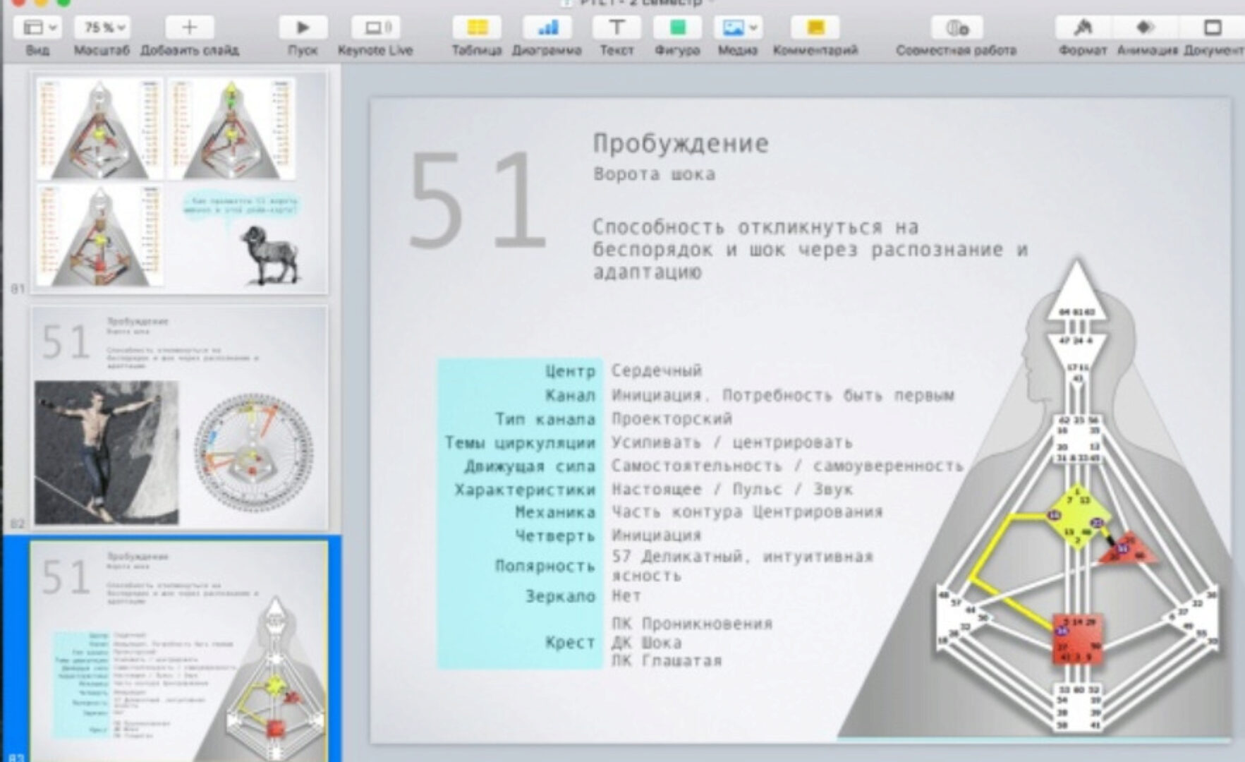 [Дизайн Человека] Курс «PTL I» месяц 7 (Виктор Крючков)