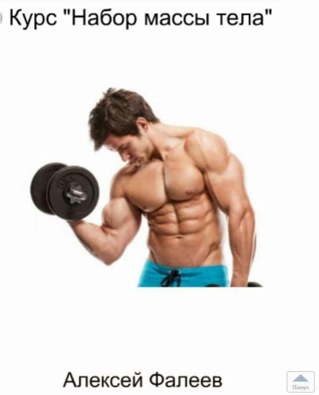 Набор массы тела (Алексей Фалеев)