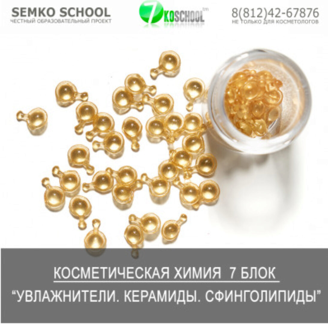 [7koschool] Косметическая химия. Блок 7 «Увлажнители. Керамиды» (Анастасия Семко)