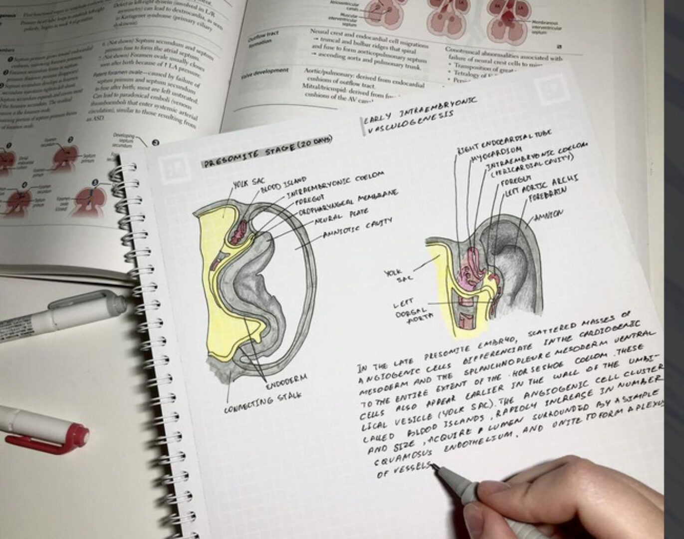 USMLE Step 1 (synapse)