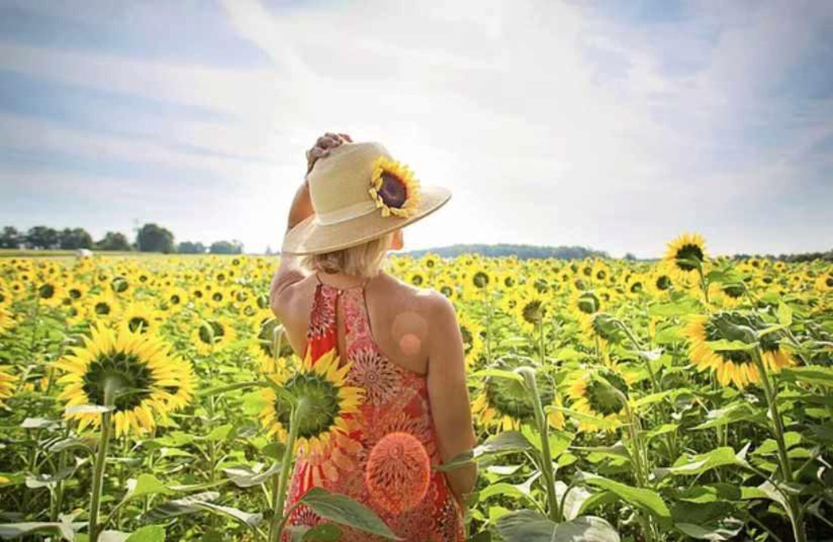 Высокие вибрации + транскрибация (Lee)