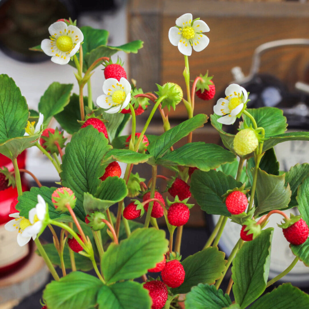 [tanyaflower] Земляника (Татьяна Кононова)