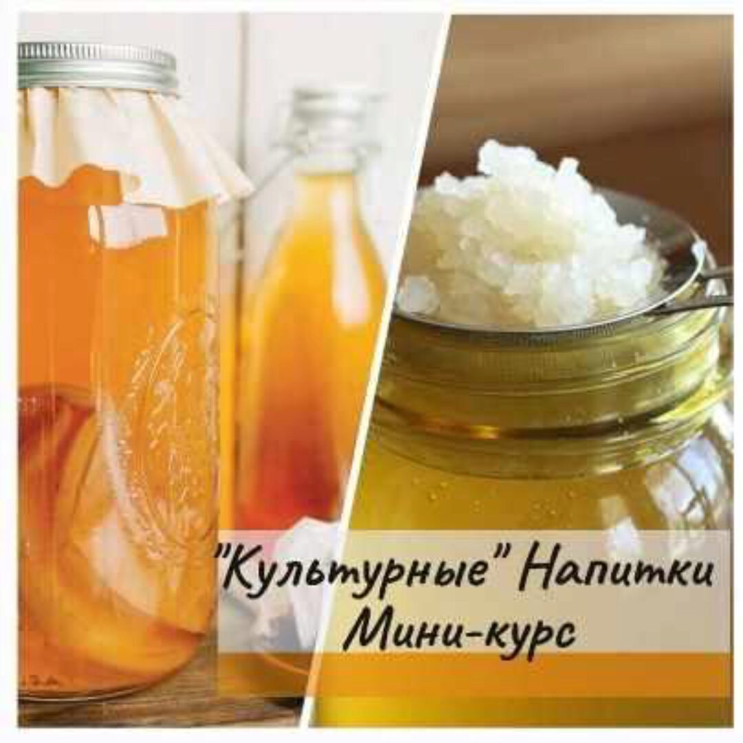 [mazaika_fermentation] «Культурные» напитки мини-курс (Анна Дроздова)