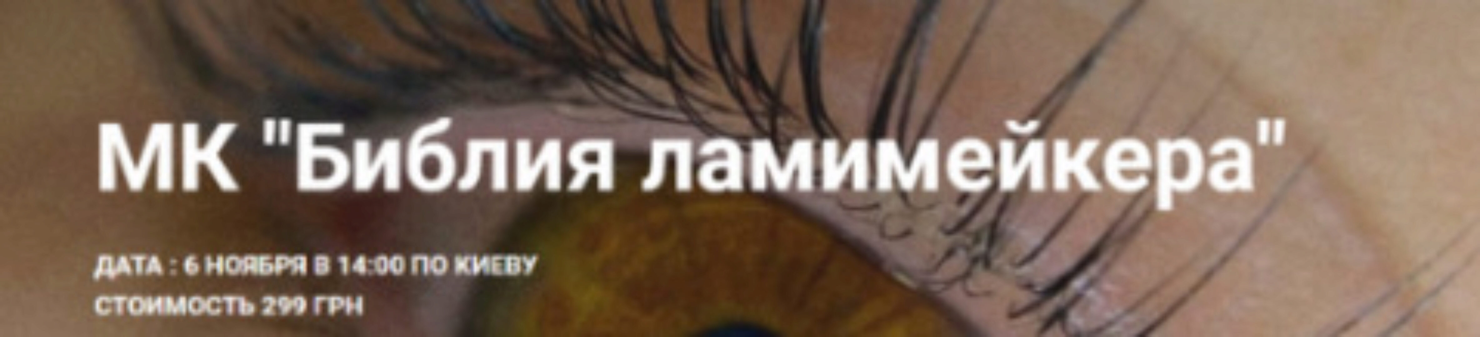 [BrowIt] Библия ламимейкера (Анна Ромашенко)