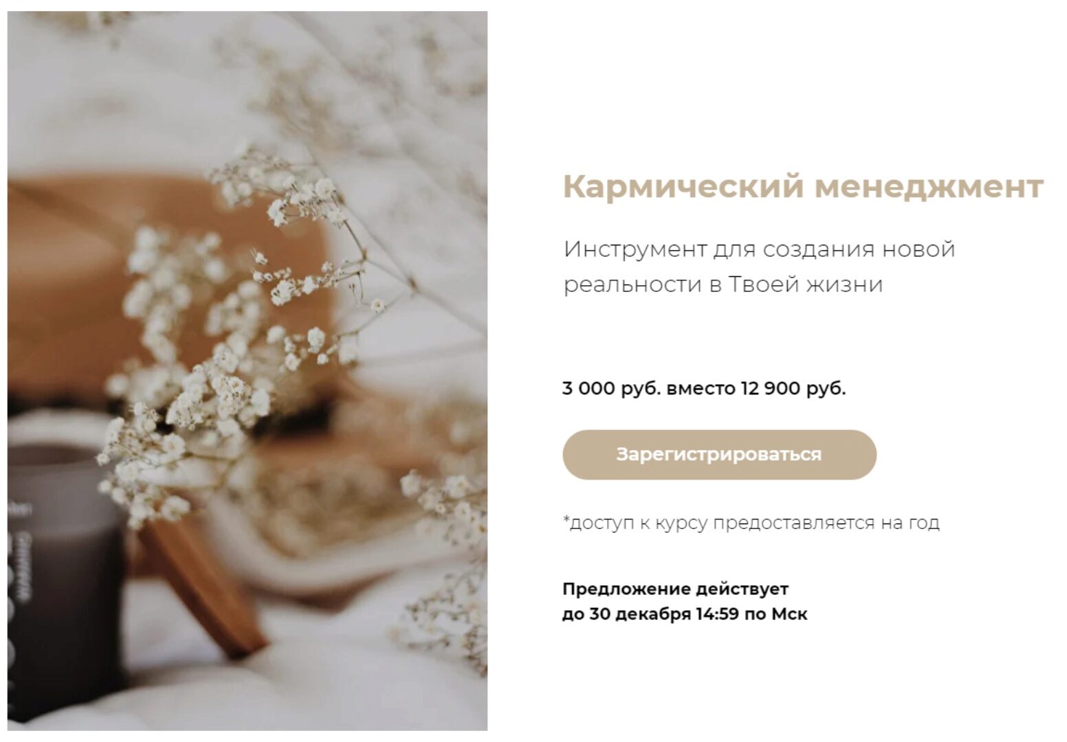 Кармический менеджмент  (Юлия Богацкая)