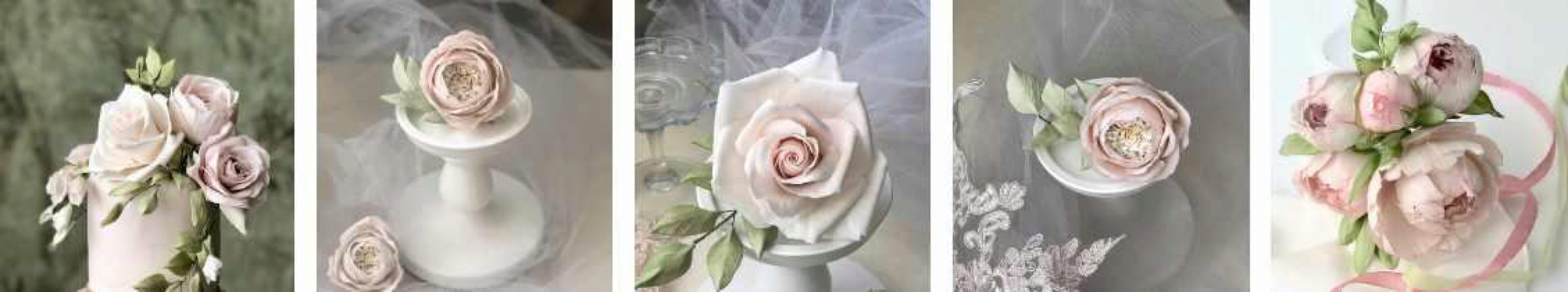 [Cake Pro] Сахарные цветы 2.0 (Елена Решетняк) @elen_reshetnyk