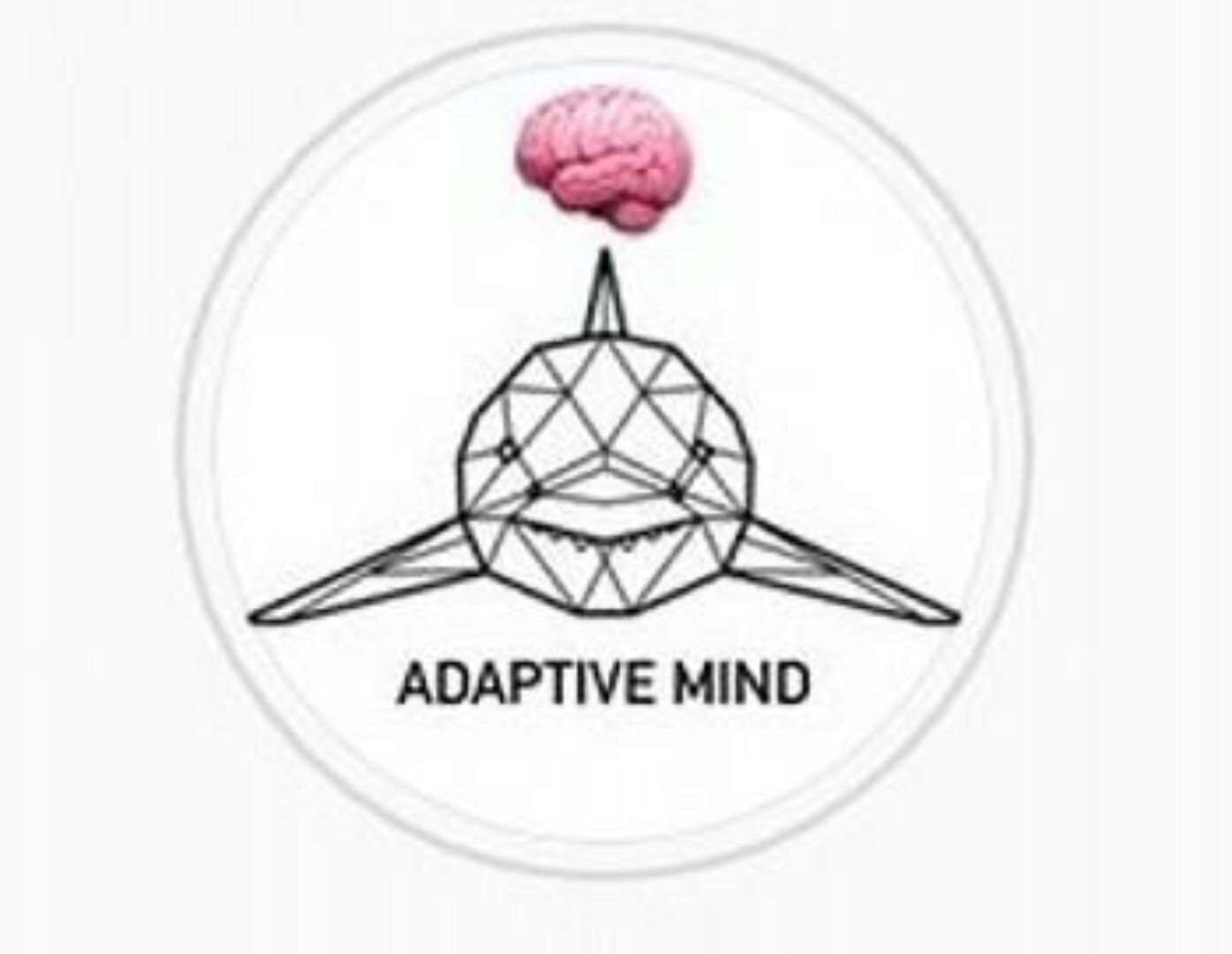 [growup.happy] Адаптивное мышление (Адам Гроус)