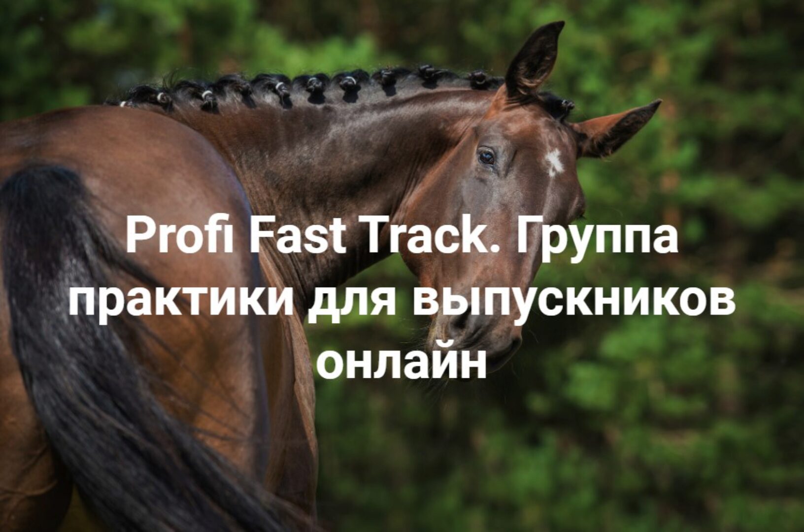 Profi Fast Track. Травма и переплетение: с чего начать работу. Группа практики для выпускников онлайн (Елена Веселаго)