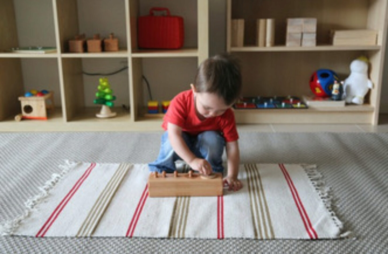 Методика Марии Монтессори в домашних условиях (Ксения Краснова)