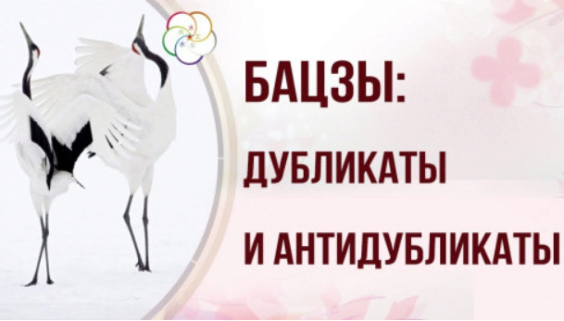 Дубликаты  и Антидубликаты  в астрологической карте Бацзы (Наталья Пугачева)