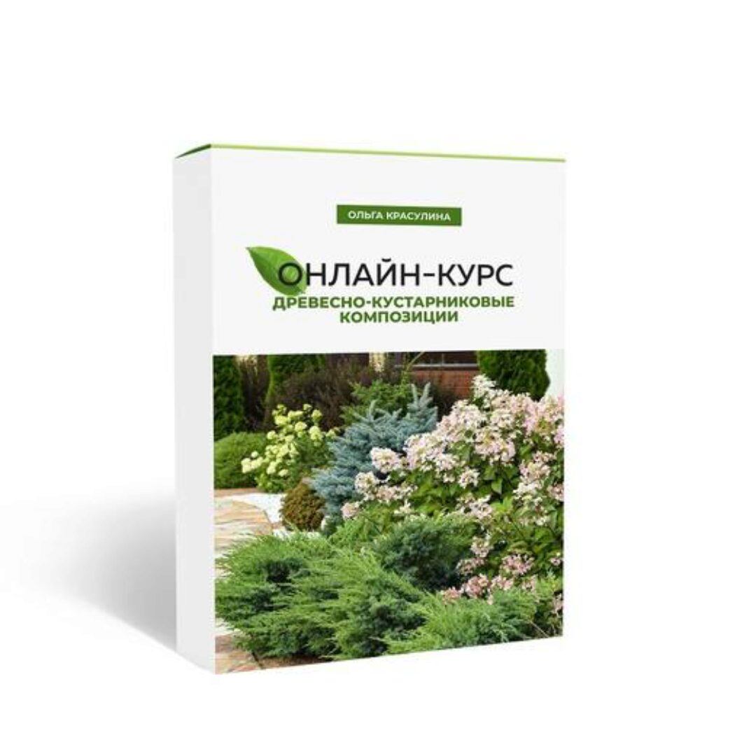 Древесно-кустарниковые композиции (Ольга Красулина)