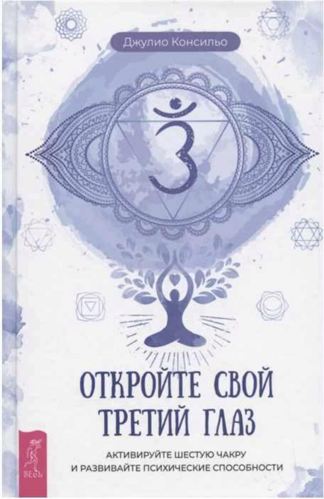 Откройте свой третий глаз. Активируйте шестую чакру (Джулио Консильо)