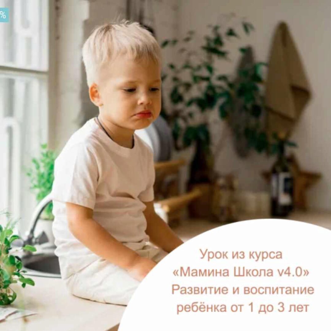 [Мамин дом] Эмоциональные реакции ребёнка и детские истерики (Галина Елтонская)