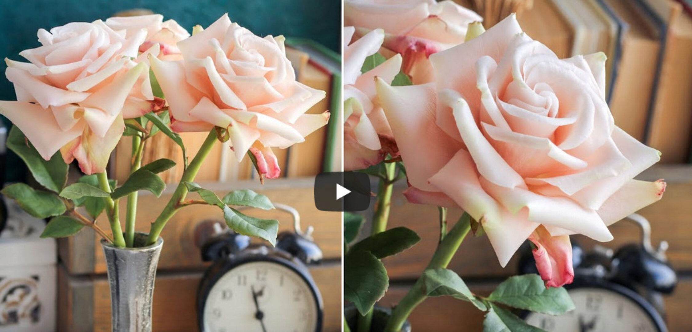 Французские розы (tanyaflower)