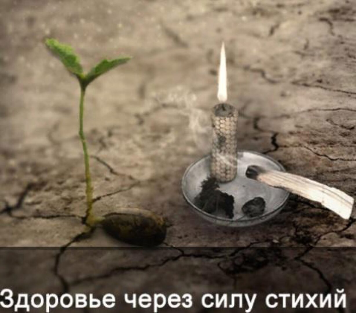 Здоровье через силу стихий. Видео формат (Ксения Меньшикова)