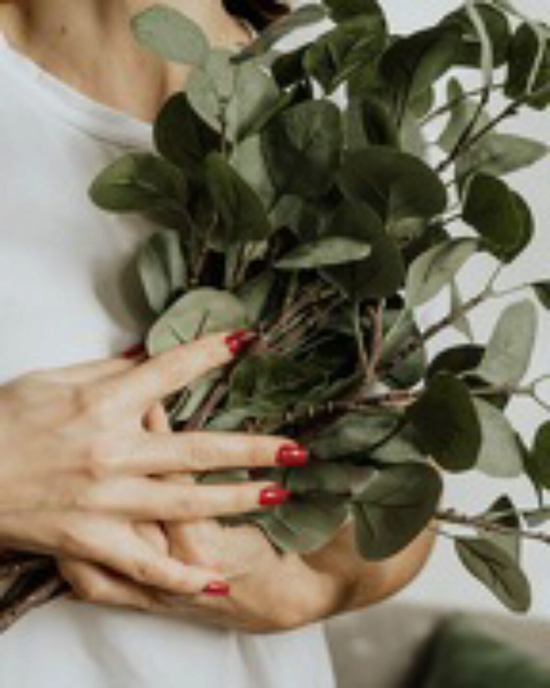 [Васту Школа] Мудрое озеленение. Растения в Васту (Юлия Морозова)