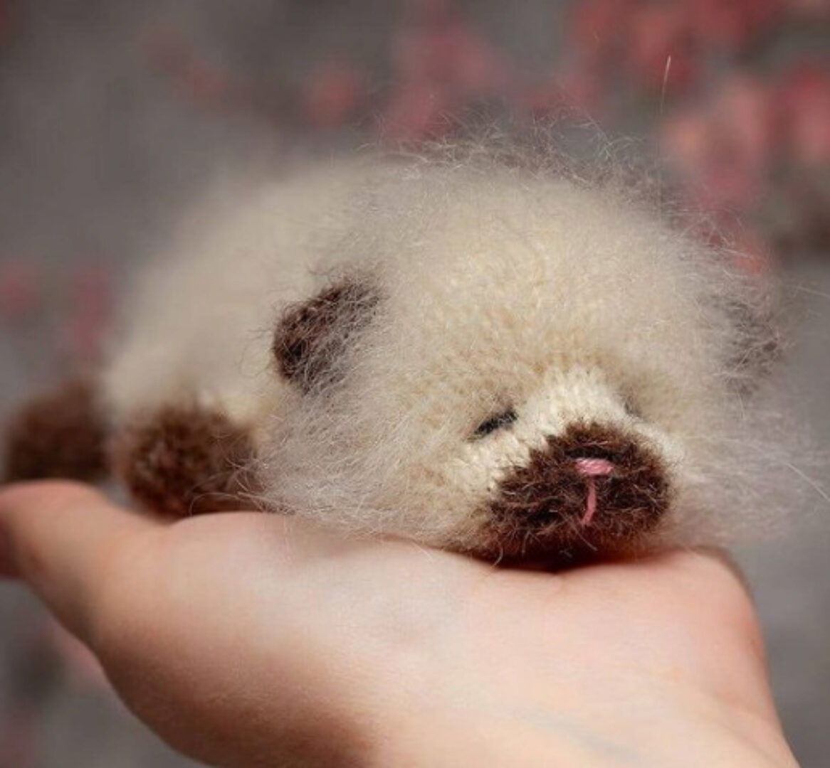 Котёнок с ладошку (vikgoldfish)