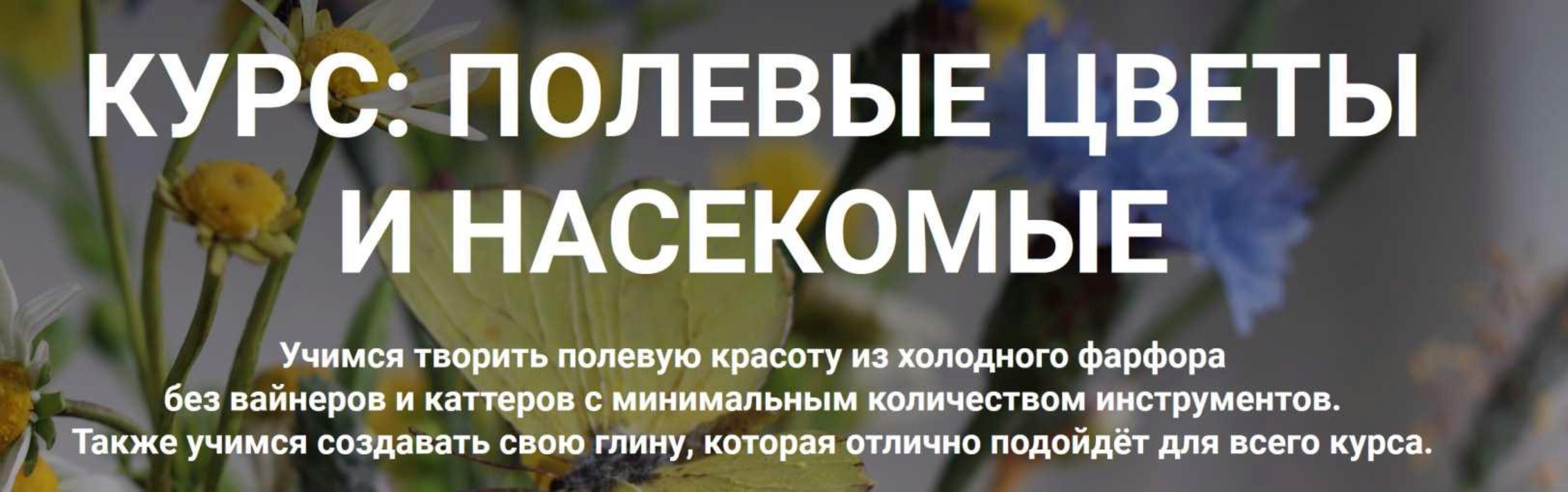 [Liubov Miro Clay School] Полевые цветы и насекомые. Тариф Расширенный (Любовь Мирошниченко)