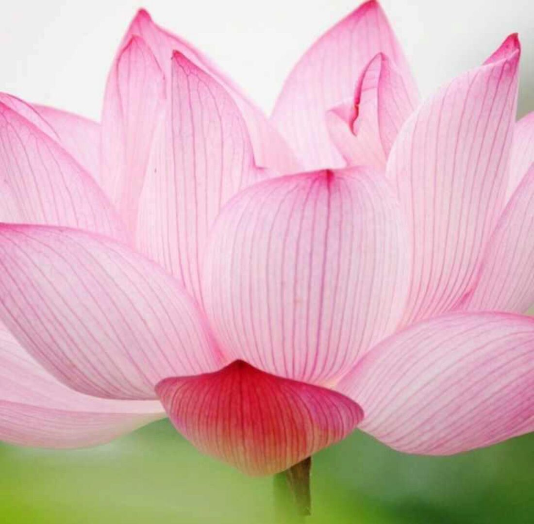 [Даосские женские практики] Даосские сексуальные практики (Татьяна Лисовская)