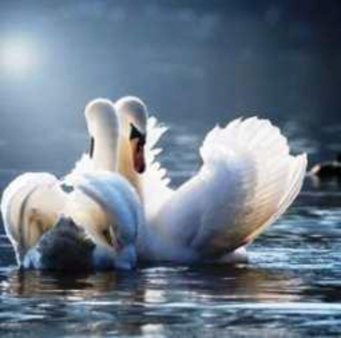 Совместимость партнеров в Бацзы (Галина Осецкая)