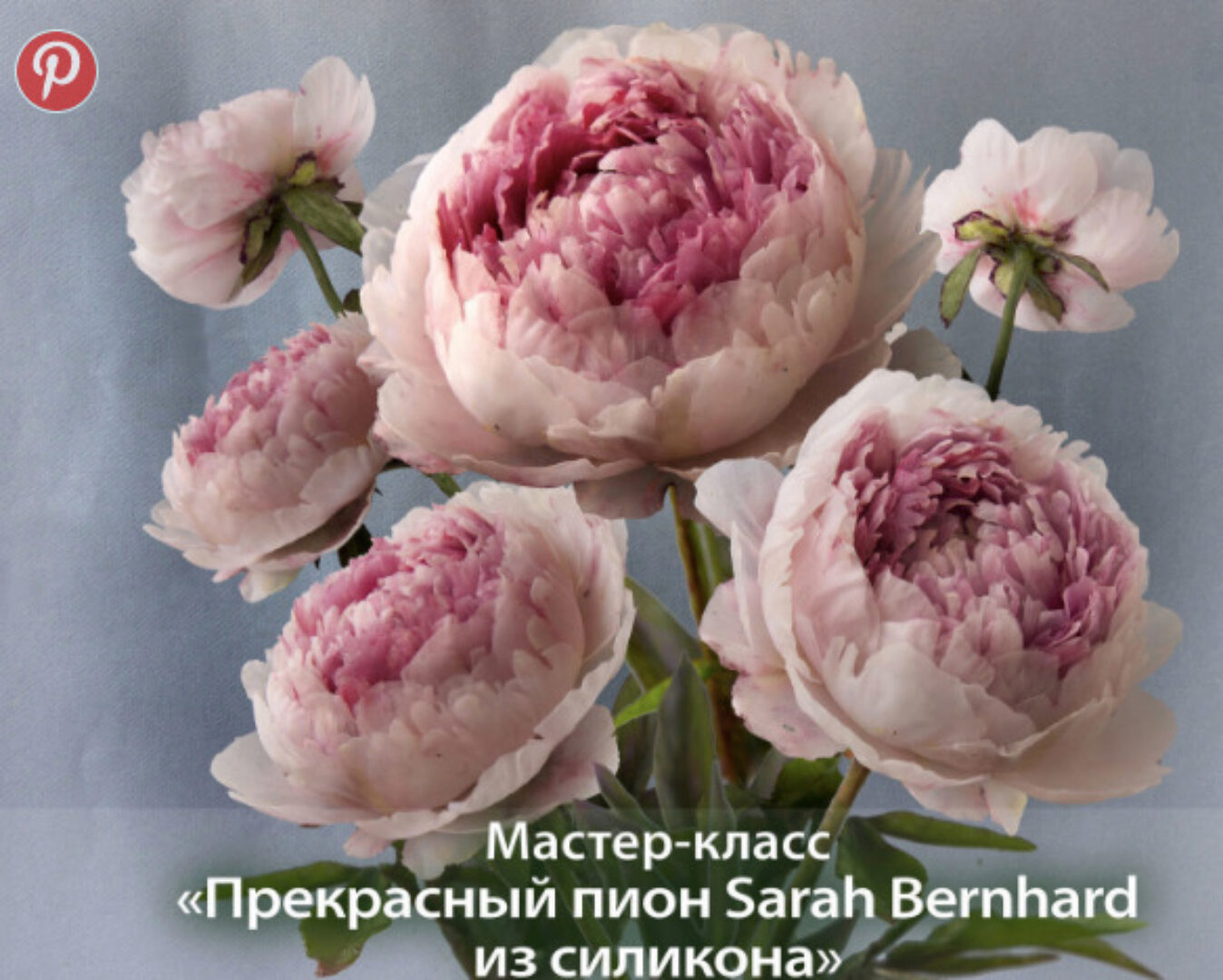 Пион из силикона (Елена Ходинецкая)