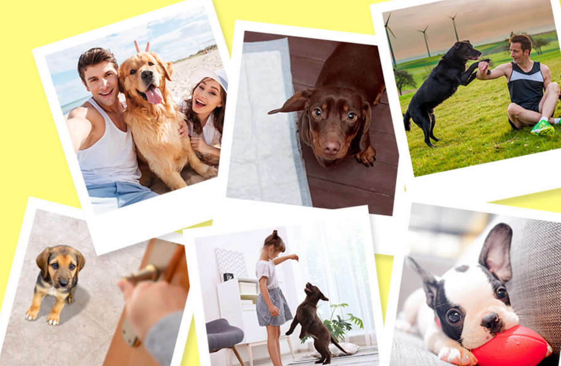 [Дрессировка] Послушный щенок без хлопот! Тариф Стартовый (Татьяна Романова)