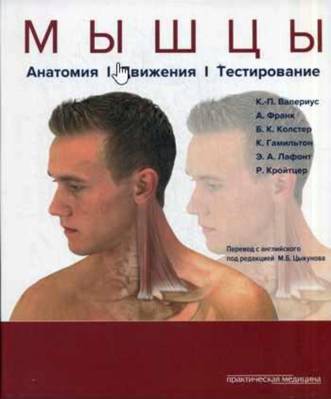 Мышцы. Анатомия. Движения. Тестирование (Клаус-Петер Валериус)