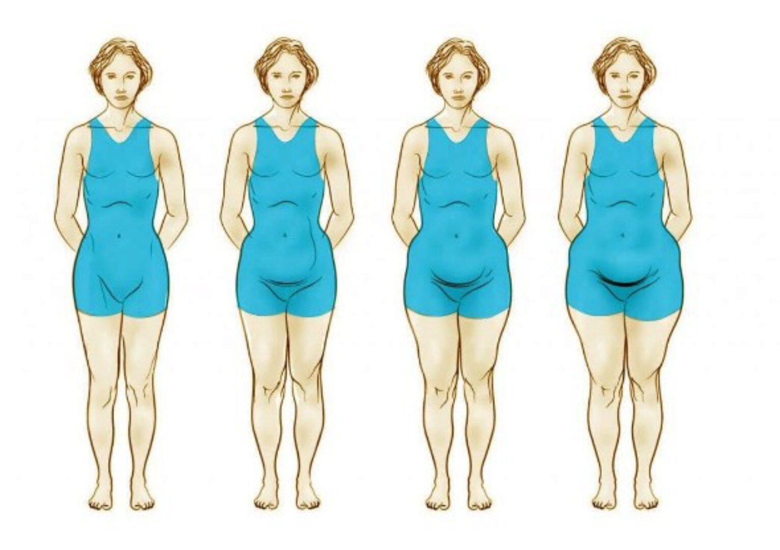 Яичниковый тип телосложения (Эрик Берг)